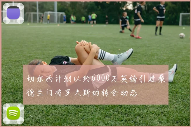 切尔西计划以约6000万英镑引进桑德兰门将罗夫斯的转会动态