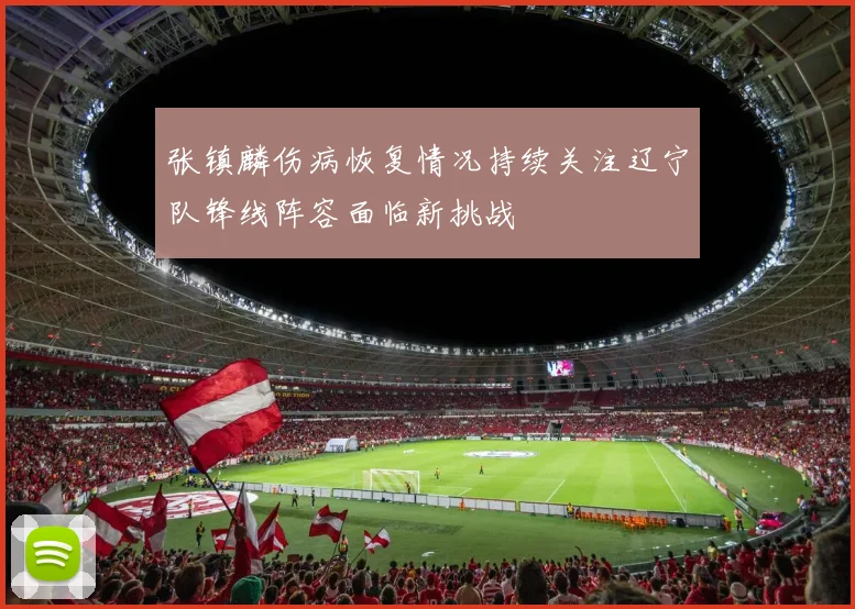 张镇麟伤病恢复情况持续关注辽宁队锋线阵容面临新挑战